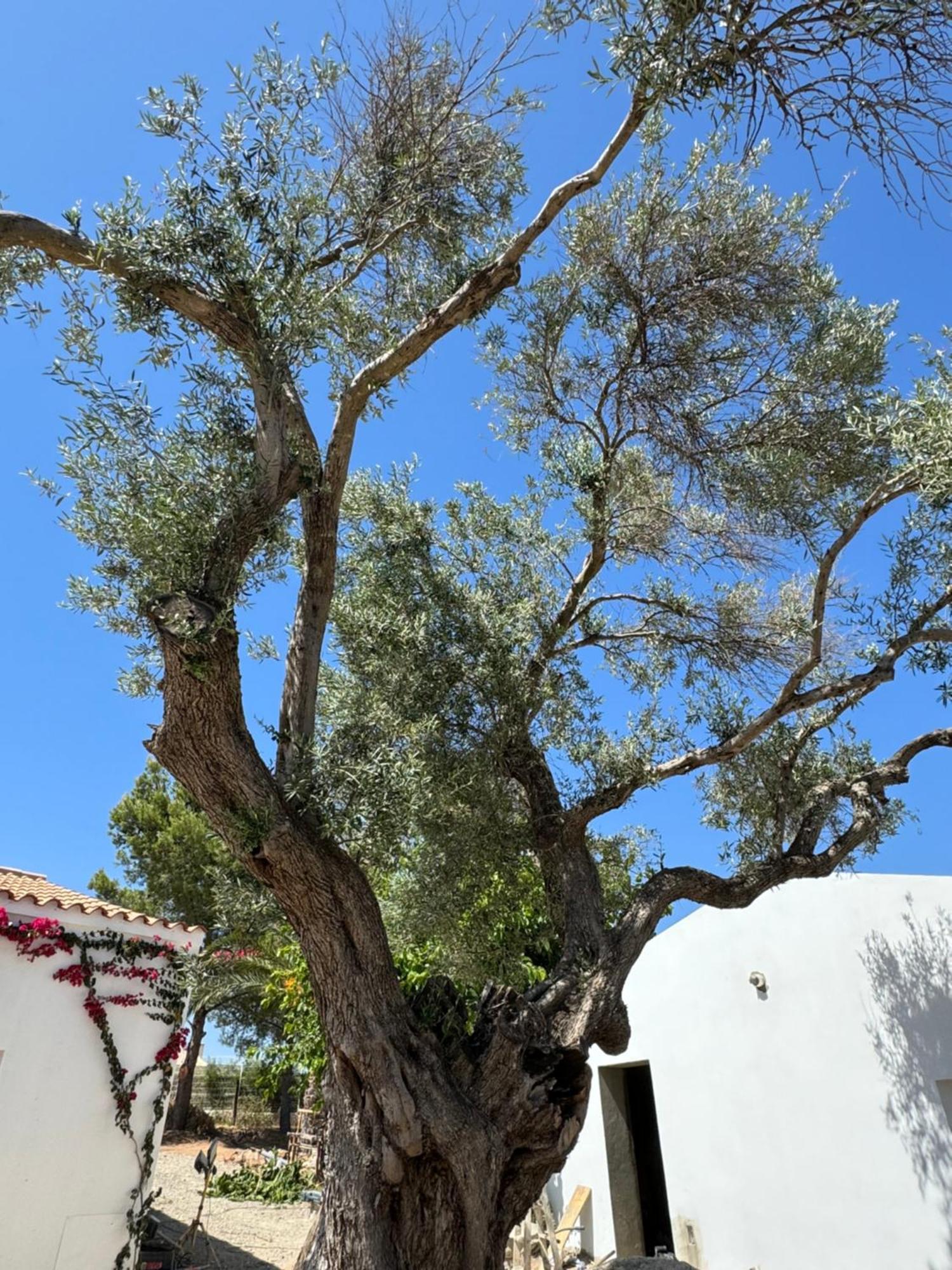 הוילה וילה נובה דה קסלה Quinta Castor מראה חיצוני תמונה