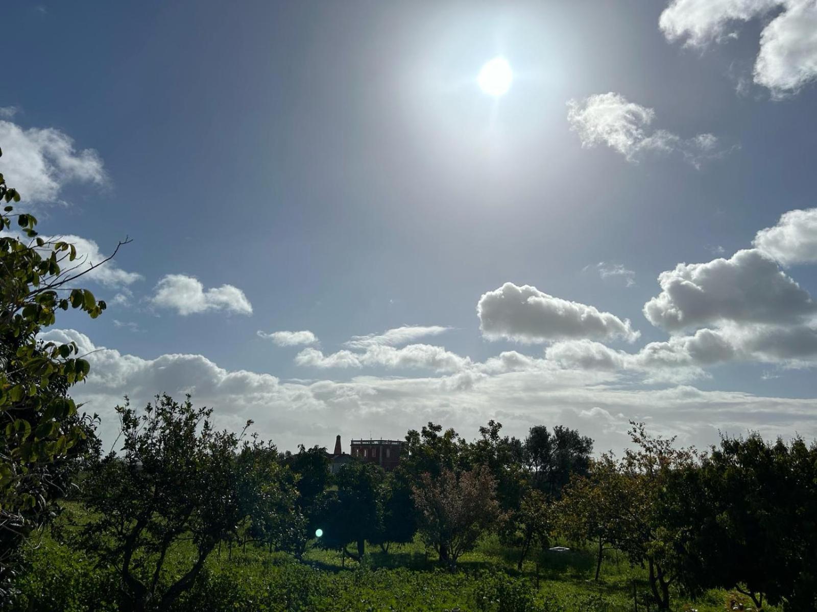 הוילה וילה נובה דה קסלה Quinta Castor מראה חיצוני תמונה