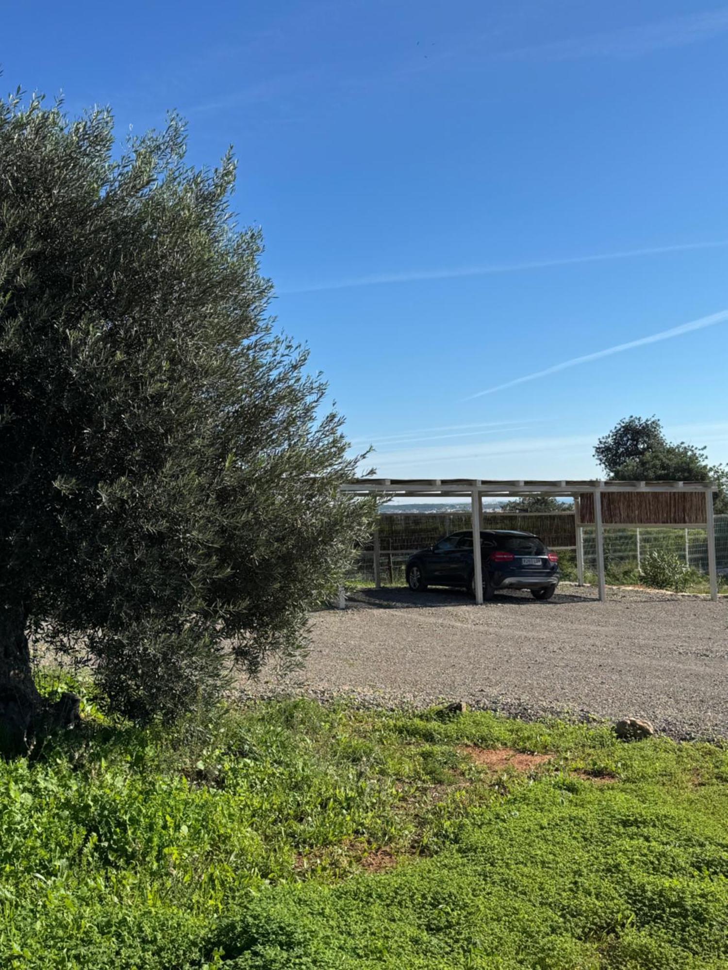הוילה וילה נובה דה קסלה Quinta Castor מראה חיצוני תמונה