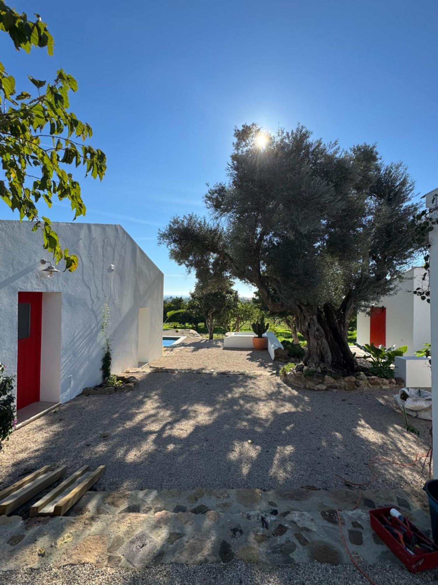 הוילה וילה נובה דה קסלה Quinta Castor מראה חיצוני תמונה